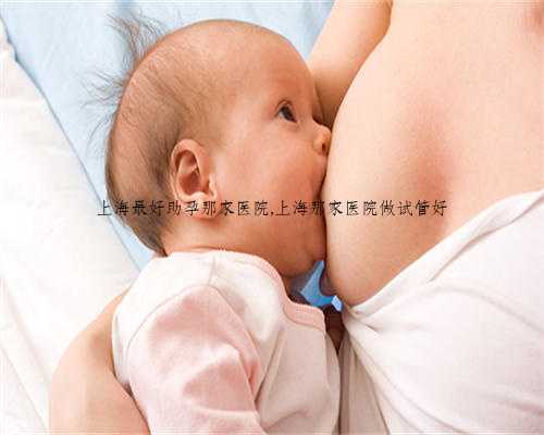 上海最好助孕那家医院,上海那家医院做试管好