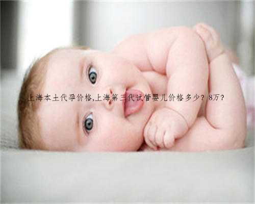 上海本土代孕价格,上海第三代试管婴儿价格多少？8万？