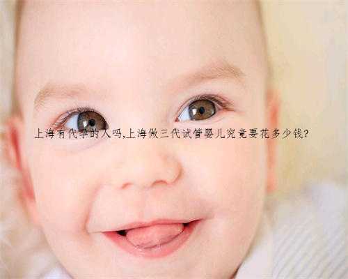 上海有代孕的人吗,上海做三代试管婴儿究竟要花多少钱？