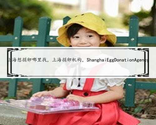 上海想捐卵哪里找，上海捐卵机构，ShanghaiEggDonationAgency