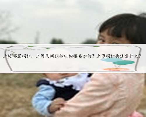 <b>上海哪里捐卵，上海民间捐卵机构排名如何？上海捐卵要注意什么？</b>