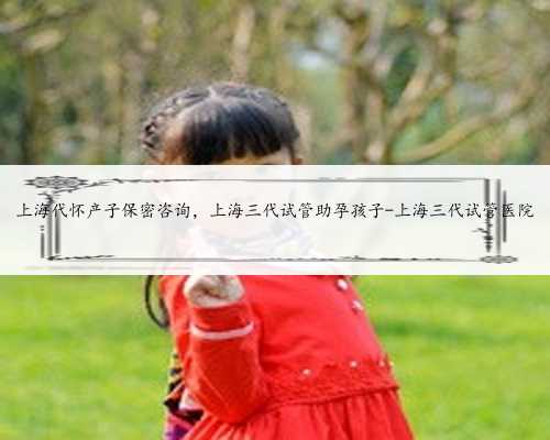 <b>上海代怀产子保密咨询，上海三代试管助孕孩子-上海三代试管医院</b>