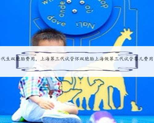 上海代生双胞胎费用，上海第三代试管怀双胞胎上海做第三代试管婴儿费用多少