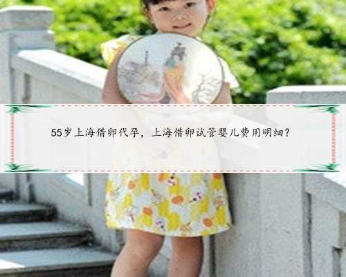 55岁上海借卵代孕，上海借卵试管婴儿费用明细？