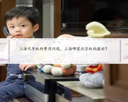 <b>上海代孕机构费用问题，上海</b>