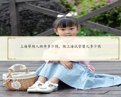 上海帮别人助孕多少钱，做上海试管婴儿多少钱