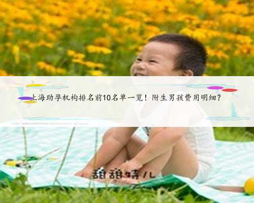 上海助孕机构排名前10名单一