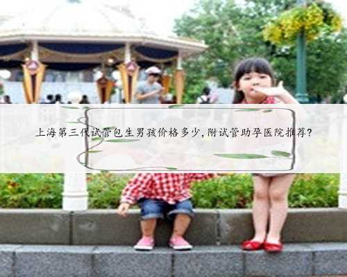 上海第三代试管包生男孩价格多少,附试管助孕医院推荐?